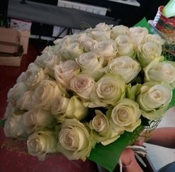 Bouquet of elegant white roses