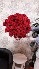 Delivery of products Round bouquet of 51 red roses «Red delight » (475)