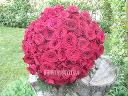 Round bouquet of 51 red roses «Red delight »