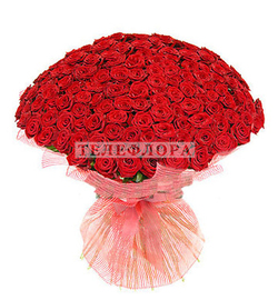VIP bouquet of 201 red rose