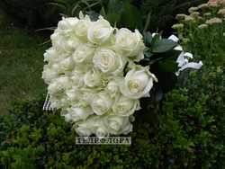 Round bouquet of 35 white roses "White swan"