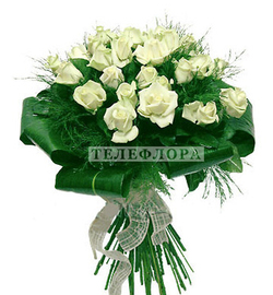 Bouquet of 25 white roses "Recognition"