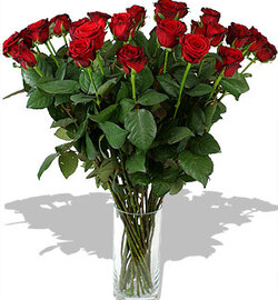 Bouquet  "23 Red Roses"