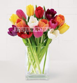 Bouquet of 15 tulips "Mystery"