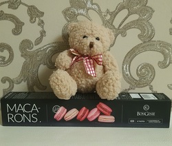 Soft toy teddy bear with cakes "Macarons"