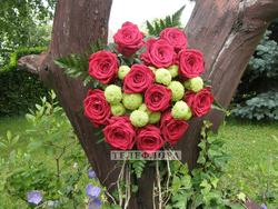 Round bouquet of 11 red roses"Exquisite Choice"
