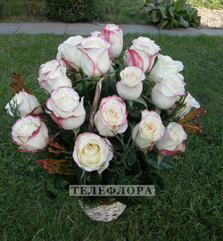 Flower Basket «25 white roses»