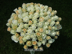 Round bouquet of flowers "VIP bouquet from 101 white and cream roses"