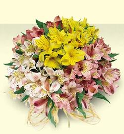 Many-coloured alstromeria bouquet 