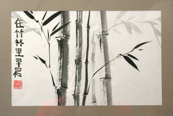 Author's picture "Bamboo"