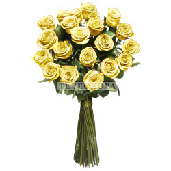 Round bouquet of 21 yellow roses