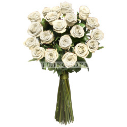 Round bouquet of 21 white roses