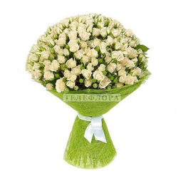 Round bouquet of 51 white spray roses