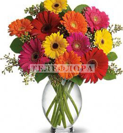 Bouquet "Gerbera Brights"