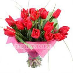 Bouquet of 15 red Tulips