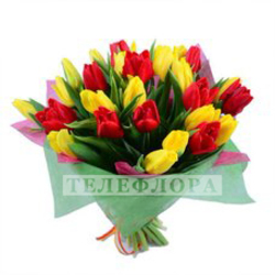 Round bouquet of 25 mixed tulips (yellow, red)