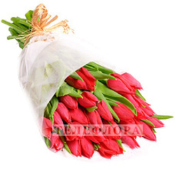 Bouquet of 39 red Tulips 