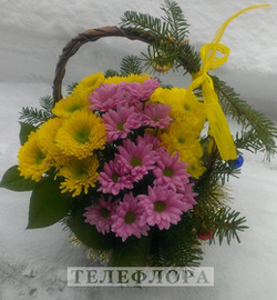 Basket of chrysanthemums "Forest fun"