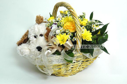 Basket of flowers with a dog