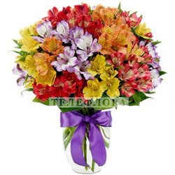 Bouquet of 39 multi-colored Alstroemeria