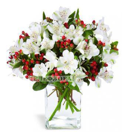 Bouquet of 11 white Alstroemeria