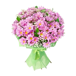 Bouquet of 11 pink chrysanthemums