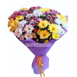 Bouquet of 15 chrysanthemums "Passion"