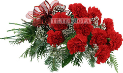 Bouquet of 11 red carnations