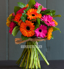 Round bouquet of 19 multy colored gerberas