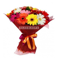 Round bouquet of 23 multy colored gerberas