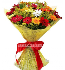 Round bouquet of 25 multy colored gerberas