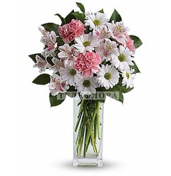 Bouquet of alstroemeria, carnations and chrysanthemums