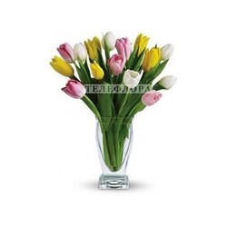 Bouquet of flowers "15 Tulip Treasure"