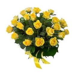 24 yellow roses